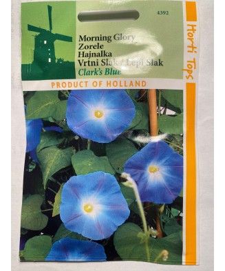 Seminte flori Ipomoea  Blue...