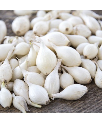 Arpagic Ceapa Alb,...