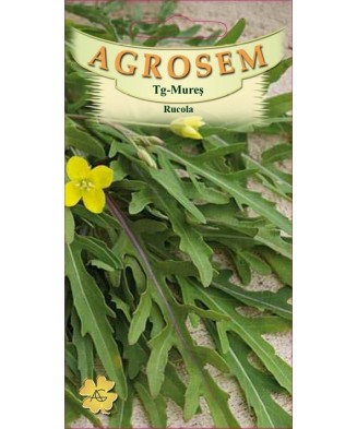 Seminte, Rucola 3gr