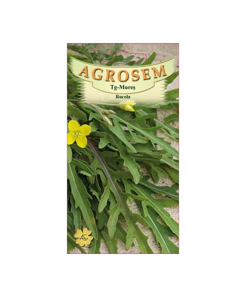 Seminte, Rucola 3gr