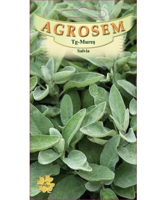 Seminte, Salvia Officinalis...