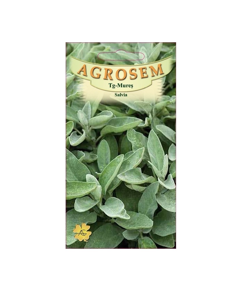 Seminte, Salvia Officinalis 0.4gr