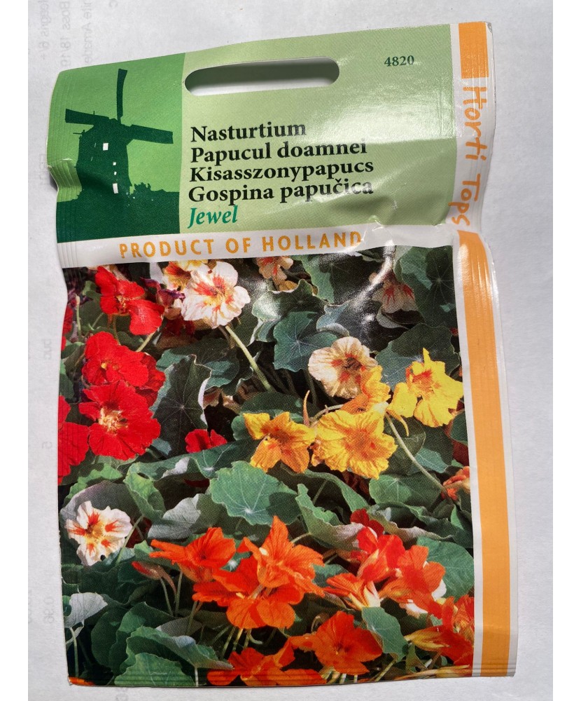 Seminte flori Tropaeolum  Majus Nanum – Papucul Doamnei Simplu Horti Tops 3 g.
