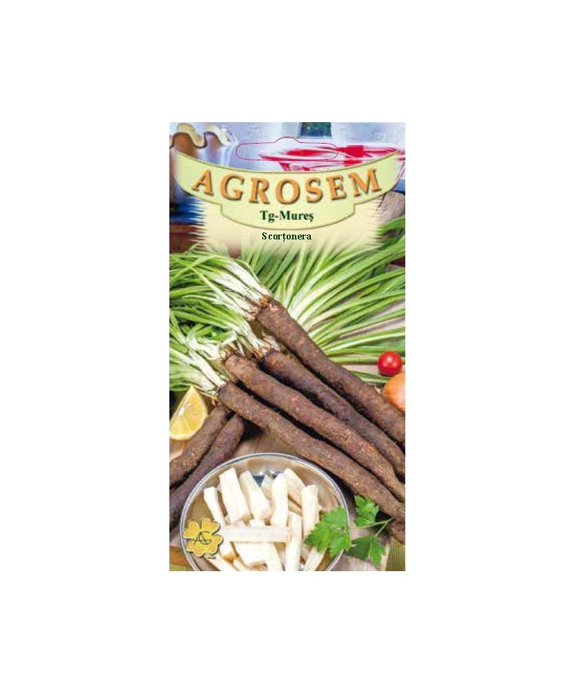 Seminte, Scortonera   1gr