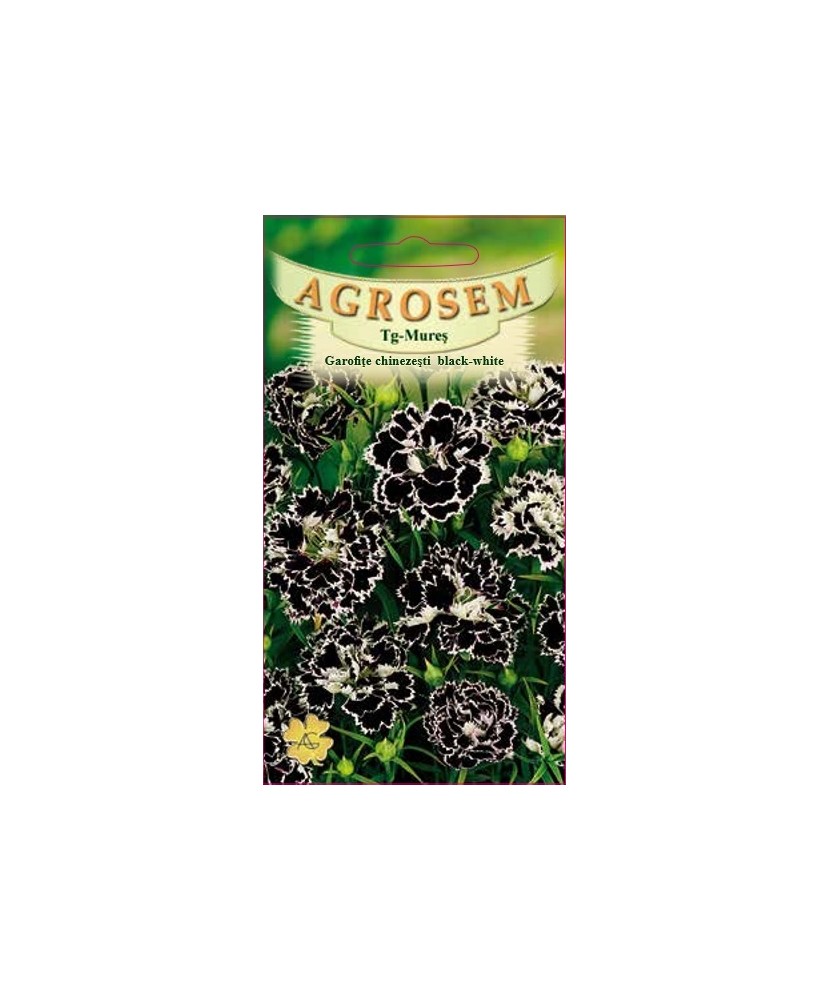 Seminte, Garofite chinez negru-alb0.05g