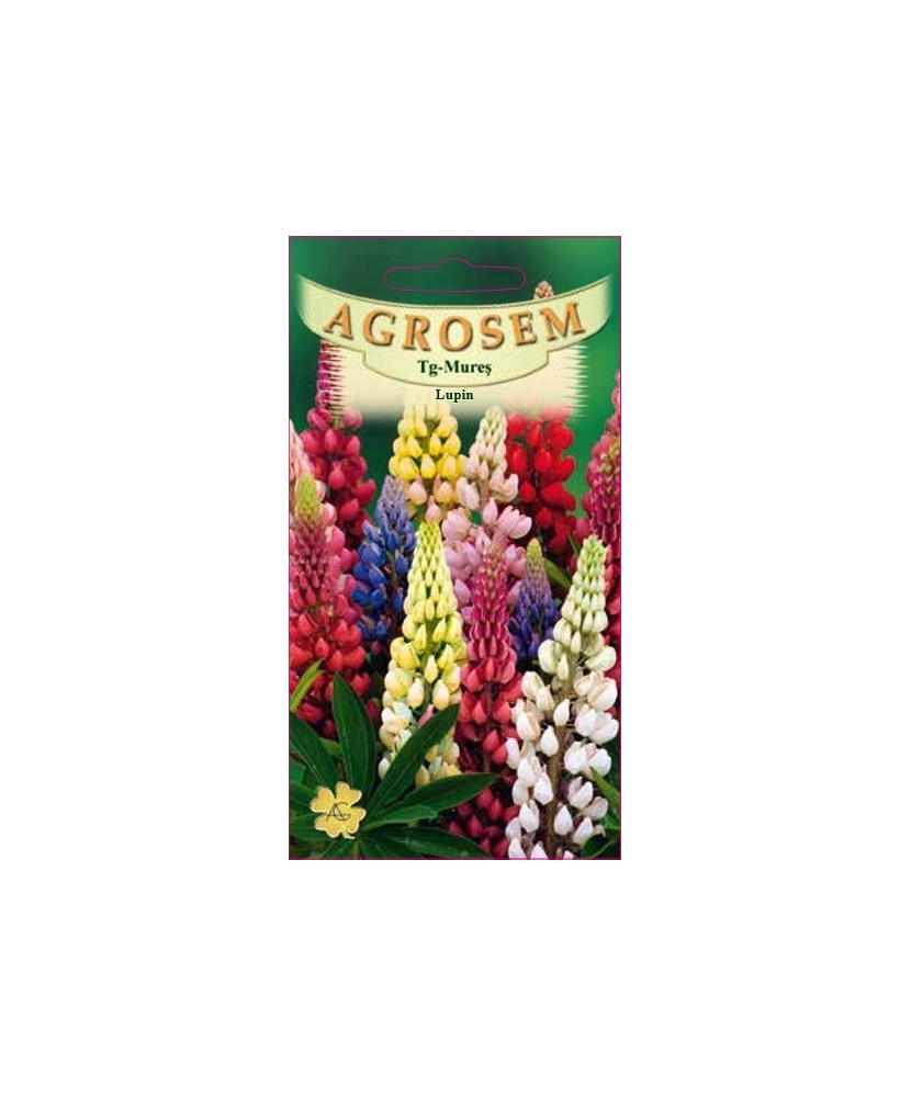 Seminte, Lupin mix 0.4gr