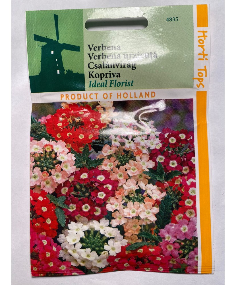 Seminte flori Verbena  Hybrid - Verbena Horti Tops 0,3 g.