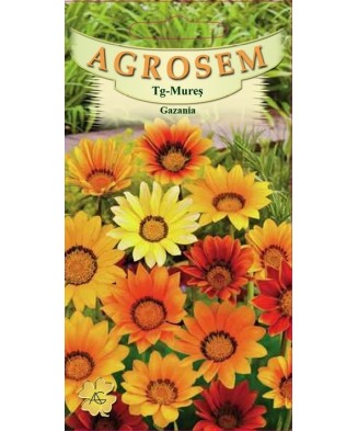 Seminte, Gazania mix 0.1gr
