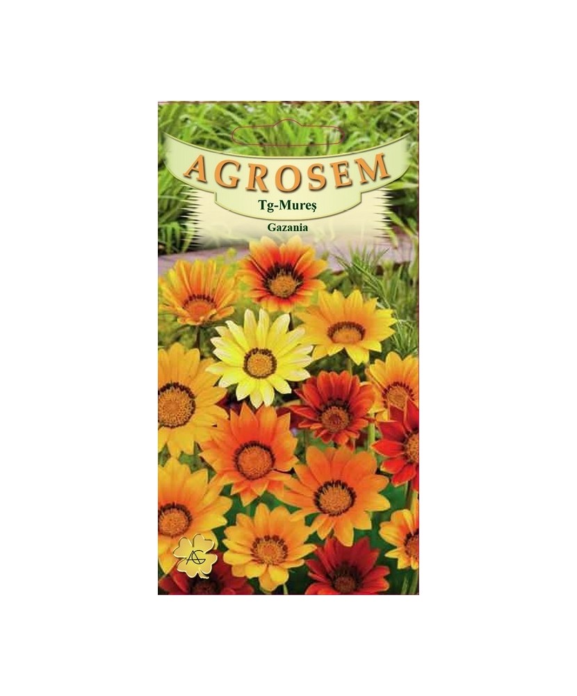 Seminte, Gazania mix 0.1gr