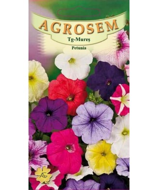 Seminte, Petunia mix  0.1gr