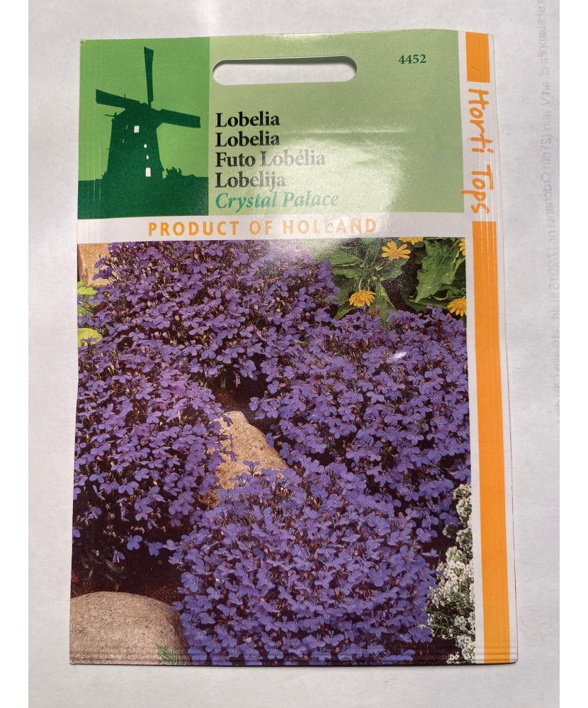 Seminte flori Lobelia Erinus Cristal Palace – Lobelia Horti Tops 0,1 g.