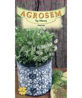 Seminte, Anason Pimpinella Anisum 1gr
