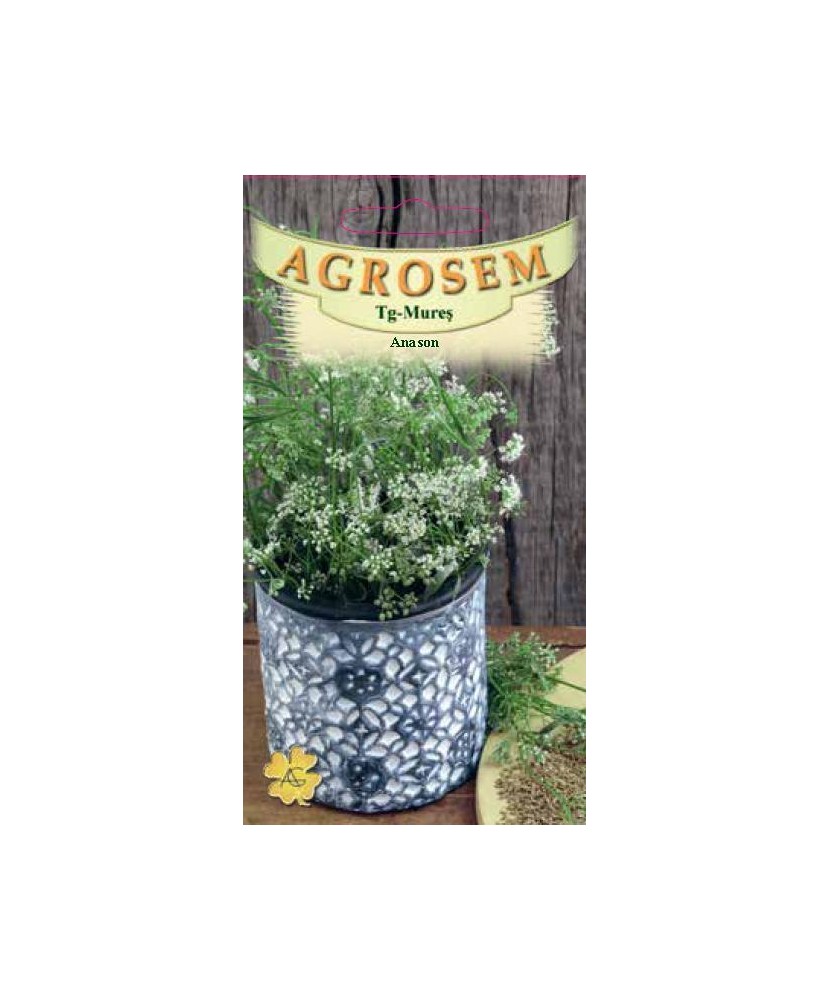 Seminte, Anason Pimpinella Anisum 1gr