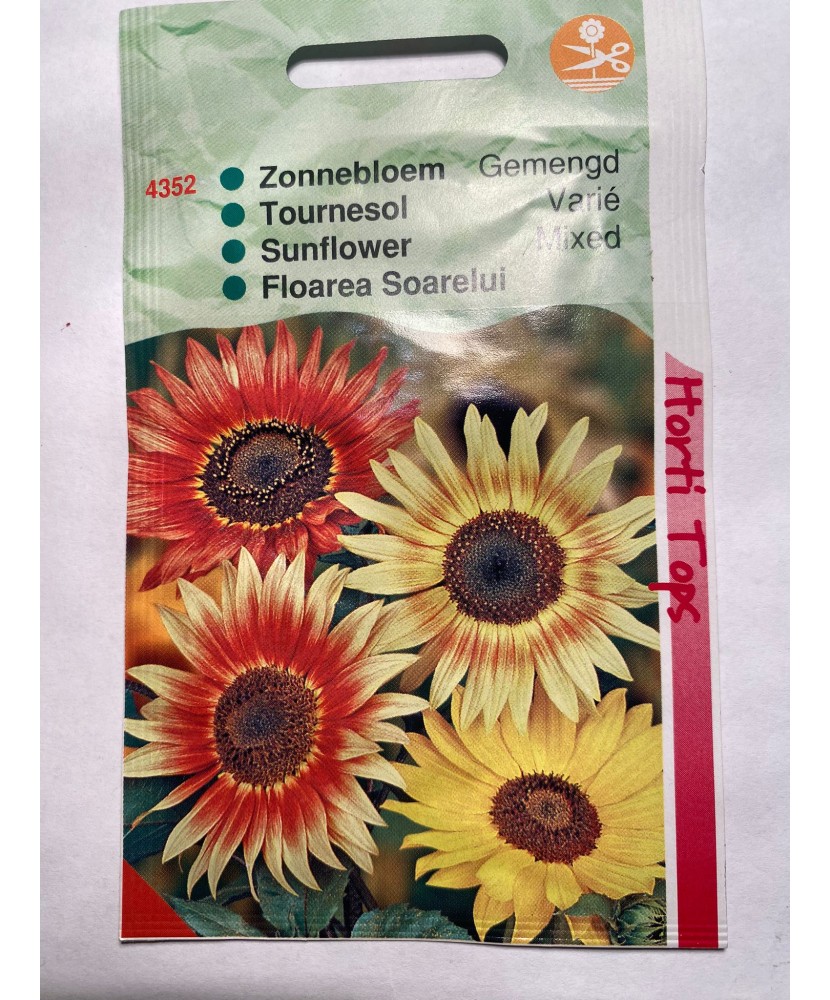 Seminte flori Heliantus  Evening  Debilis Mix - Floarea Soarelui Mix Horti Tops 1 g