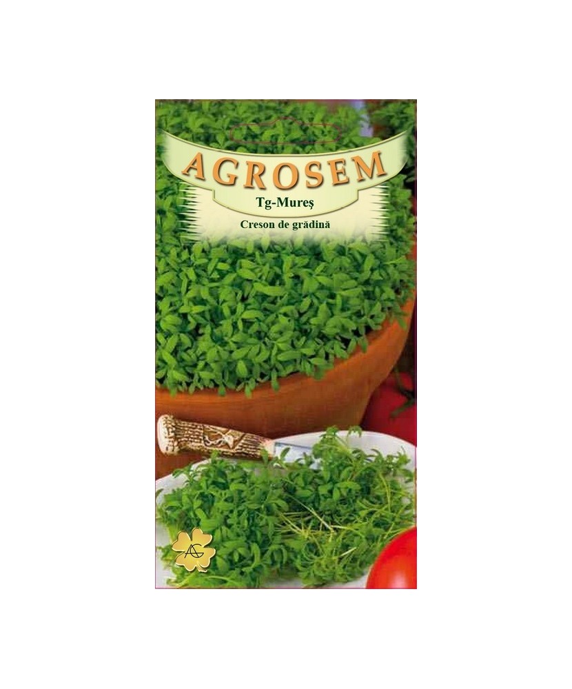 Seminte, Creson Lepidium Sativum 2gr