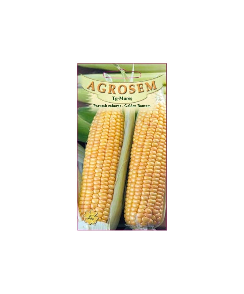 Seminte, Porumb zaharat Golden Bant.10g
