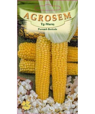 Seminte, Porumb Popcorn 10gr