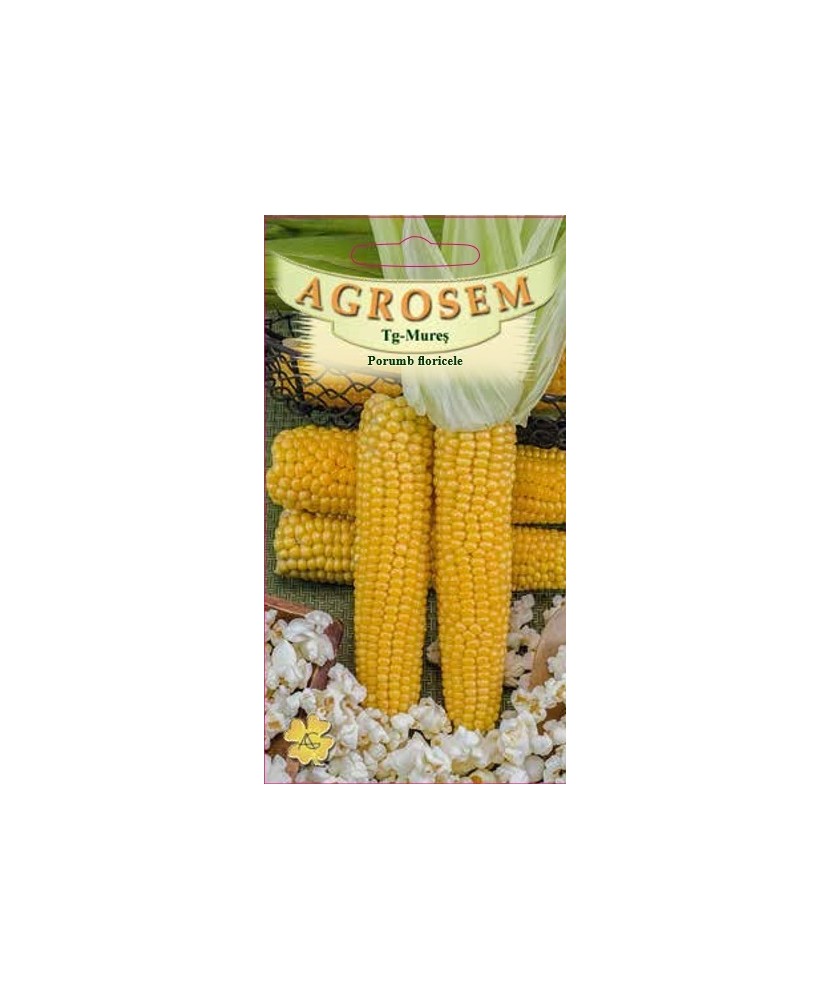 Seminte, Porumb Popcorn 10gr