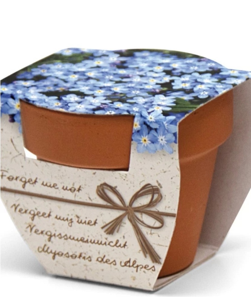 Mini Greengift Terracotta, Forget me Not, Floare de nu ma uita, Kit Gradinarit, Cadou