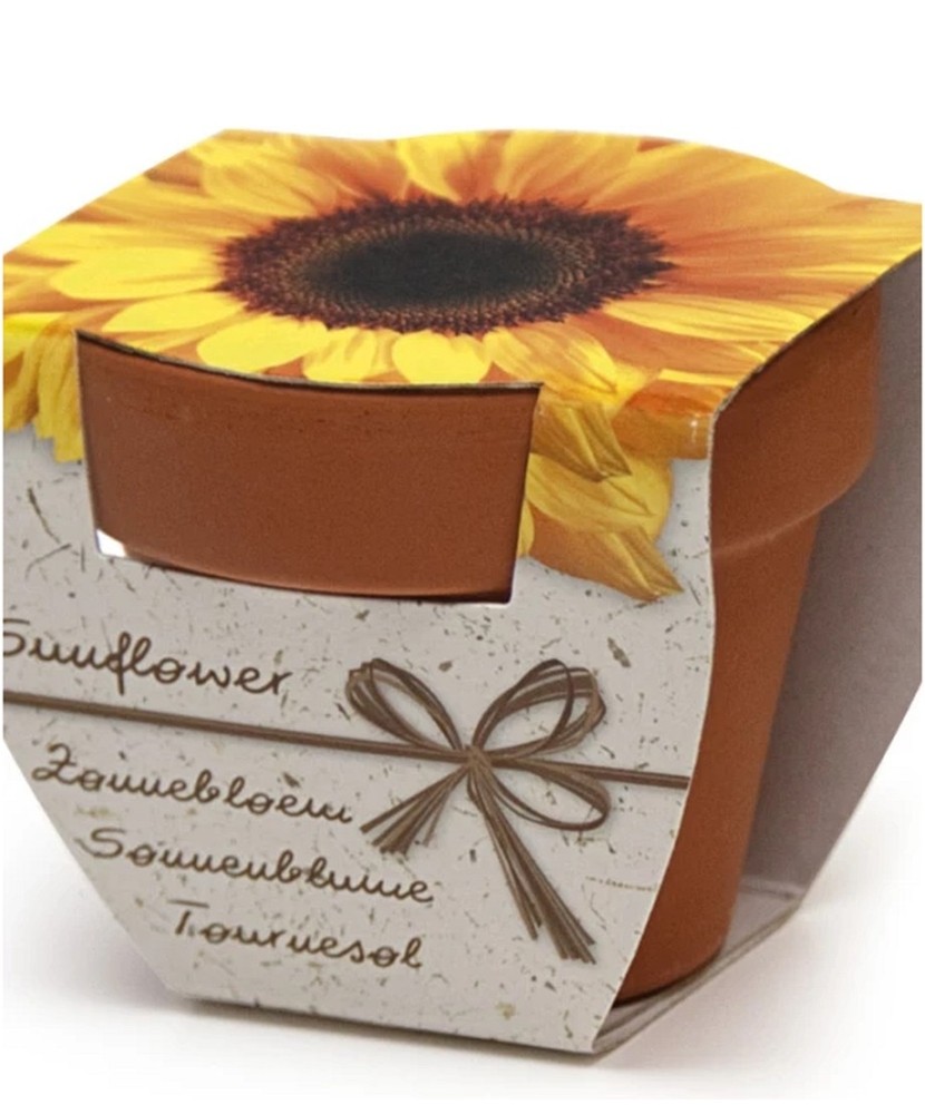 Mini Greengift Terracotta, Sunflower, Floarea Soarelui, Mini Kit Gradinarit