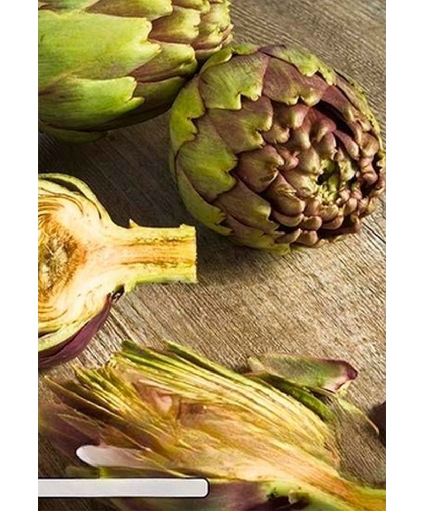 Pachet Cynara Artichoke Scolymus x2 I