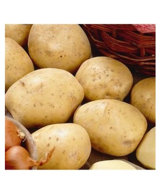 Pachet Cartofi Bintje Bulbi