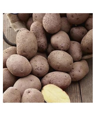Pachet Cartofi Eersteling...