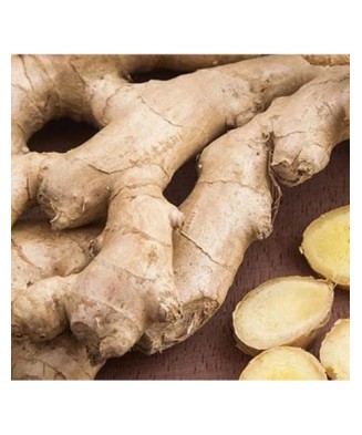 Pachet Zingiber  Officinale...