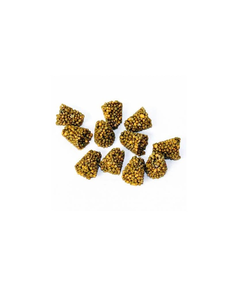 Osmocote Exact Tablete 14+08+11+3Mg+Me/ 10 Buc Per Pachet. 5-6 Luni(7.5G/Buc)