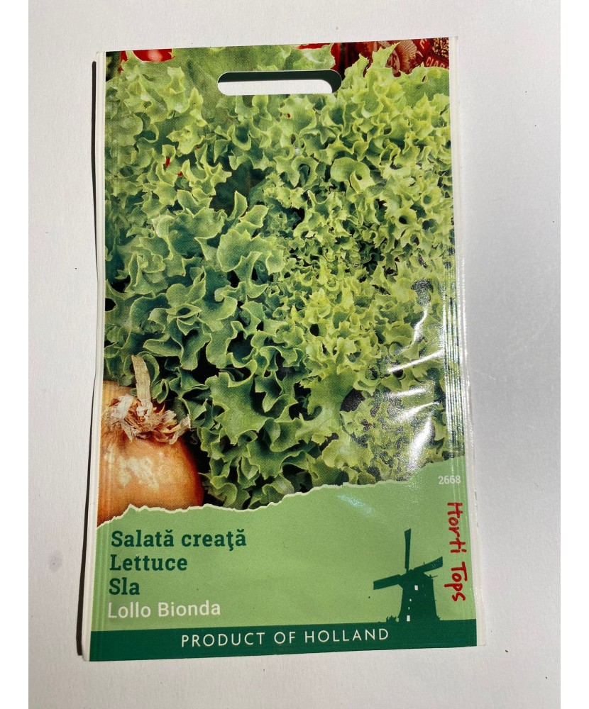 Seminte Salata Creata  Lollo Bionda 2 g.