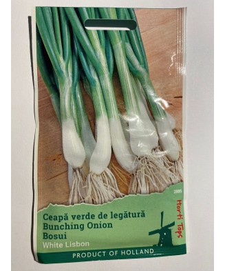 Seminte Ceapa Verde White...