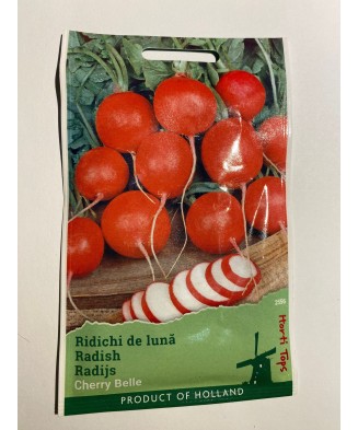 Seminte Ridichi  De Luna...