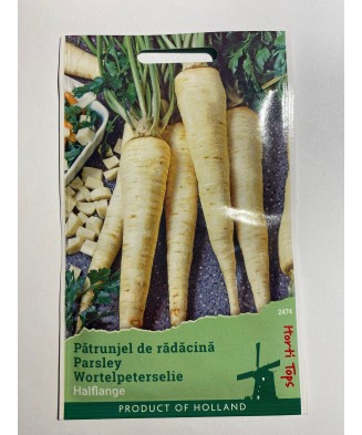 Seminte Patrunjel  Radacina...