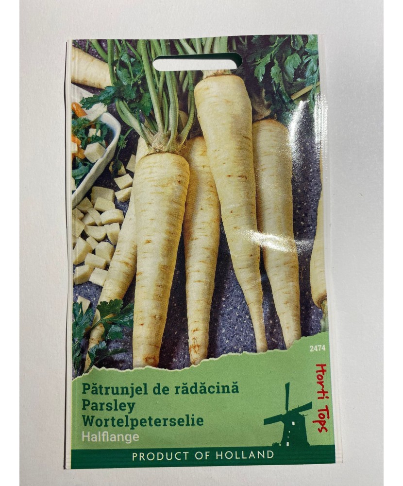 Seminte Patrunjel  Radacina  Halflange 5 g.