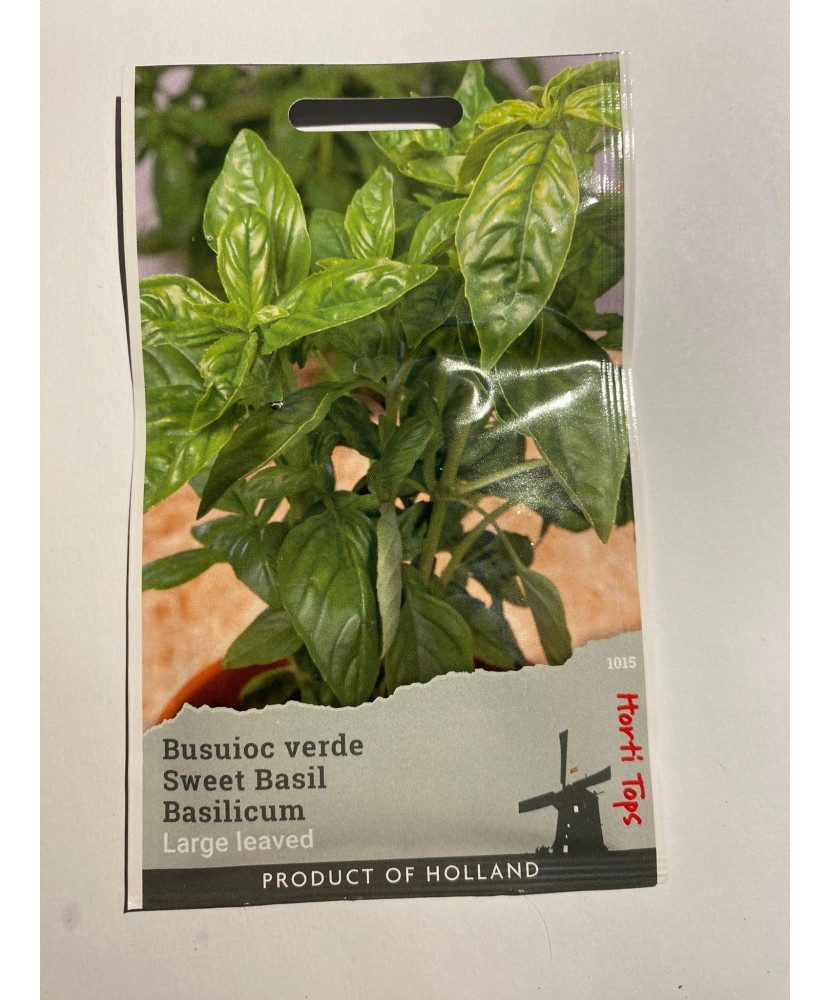 Seminte Busuioc Verde 1 g