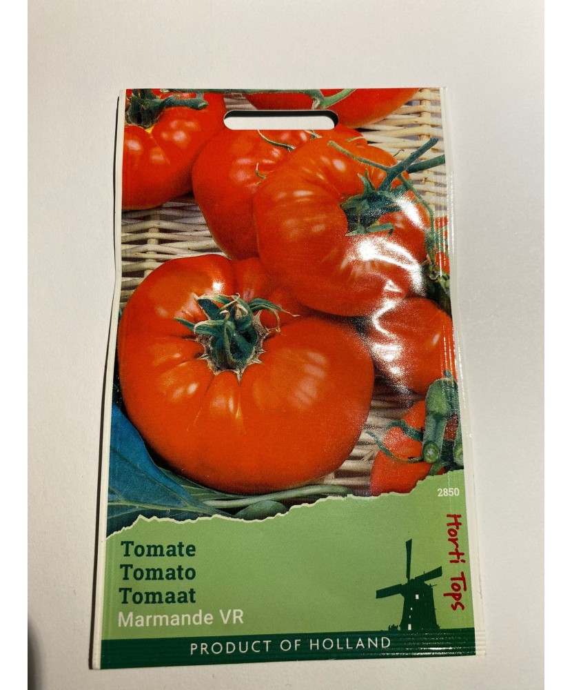 Seminte Tomate  Marmande 1 g.