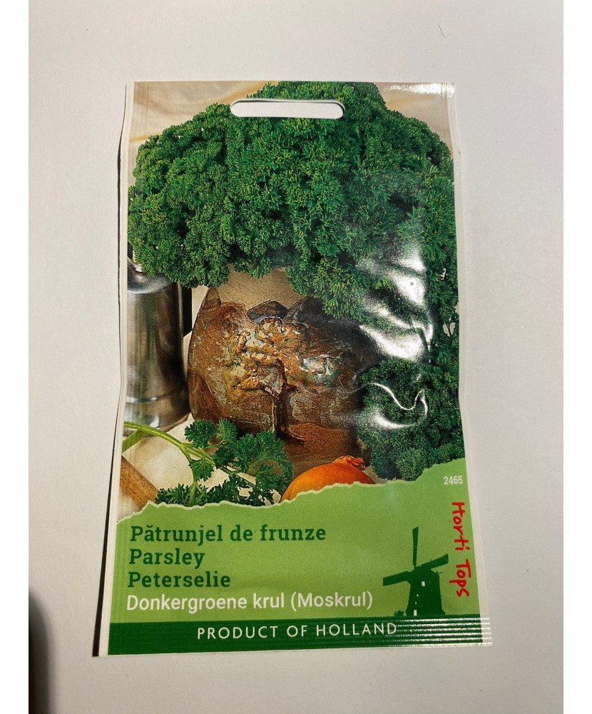 Seminte Patrunjel  Frunze Cret Moss Curled 5 g.