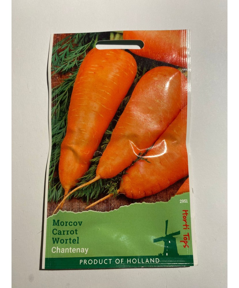 Seminte Morcovi  Chantenay Red Cored 5 g.