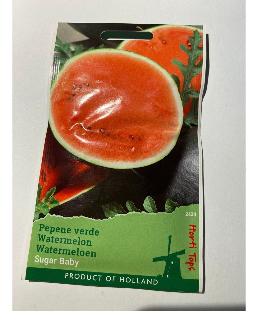 Seminte Pepene  Verde  Sugar Baby 2 g