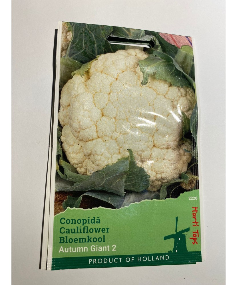 Seminte Conopida  Autumn  Giant Herfstreusen 0,5 g.