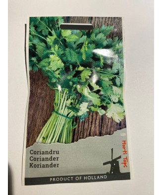 Seminte Coriandru 3 g.